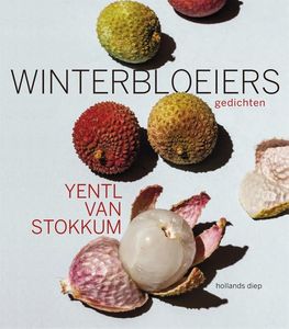 Winterbloeiers - Yentl van Stokkum - ebook