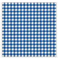 Servetten - geruit/ruitjes - blauw/wit - 20x stuks - 3-laags - feestartikelen party bbq servetten