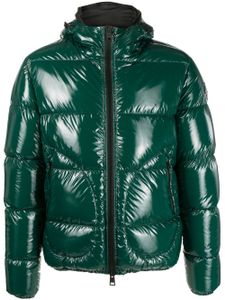 Herno veste en cuir à fini poli - Vert