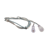 PS36 Verlengkabel transparant 2 meter 36V kerstverlichting 018-014
