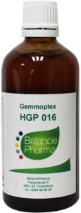 HGP016 Gemmoplex pancreas