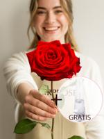 Enkele premium rode roos, inclusief vaasje