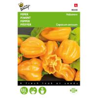 5 stuks Peper Habanero oranje Tuinplus - thumbnail