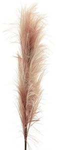 Feather spray mauve 160cm