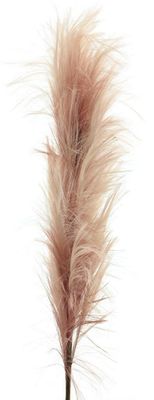 Feather spray mauve 160cm