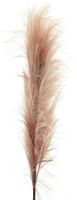 Feather spray mauve 160cm