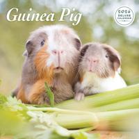 Cavia Kalender 2026 Deluxe