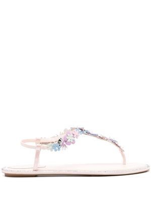 René Caovilla sandales en cuir à fleurs appliquées - Rose
