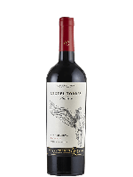 Miguel Torres Andica Carmenere gran reserva | Rode wijn | Chili | Maule Valley