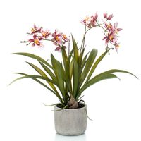 Bordeaux rode orchidee Orchidaceae kunstplant in keramische pot 45 cm - thumbnail