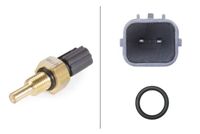 Temperatuursensor 6PT009309421