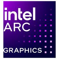 Intel Intel Arc™ Pro B50 Videokaart Intel® Arc™ Pro B50 Graphics 16 GB GDDR6-VRAM PCIe x8 DisplayPort Vulkan