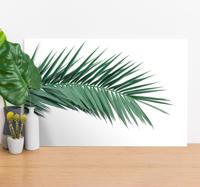 Canvas schilderij Tropisch plant blad