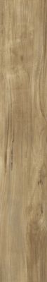 Energieker Antiqua Vloer- en wandtegel | 15x90 cm | Gerectificeerd | Houtlook | Mat Bruin