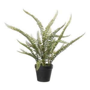 Varen Nephrolepis - Kunstplant - Groen - 50 cm