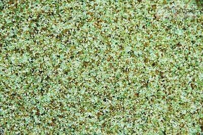 Europond Eco Glass Vijver Filterkorrels 0,5-1mm - 25kg Duurzaam Filtermedia