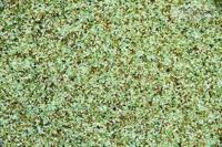 Europond Eco Glass Vijver Filterkorrels 0,5-1mm - 25kg Duurzaam Filtermedia Europond Eco Glass Vijver Filterkorrels 0,5-1mm - 25kg Duurzaam Filtermedia