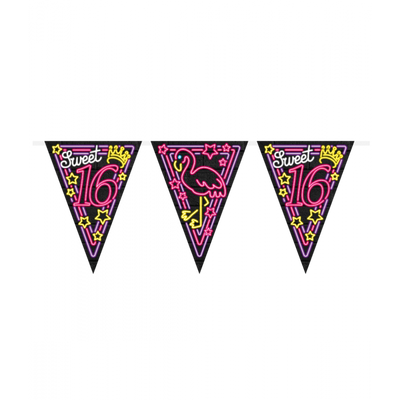 Neon Vlaggenlijn Sweet 16 - 10 meter