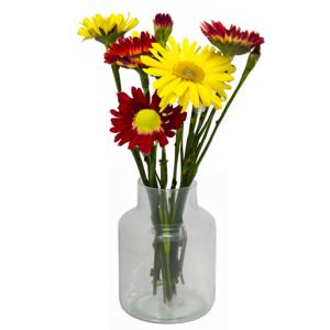 Bloemenvaas Bela Arte - transparant glas - 15 x 20 cm - melkbus vaas met smalle hals   -