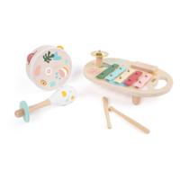 Classic World houten muziekinstrumenten set iris