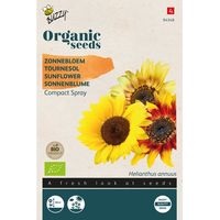 Buzzy® Organic Helianthus dwarf Spray mixed (BIO) - thumbnail