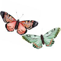 Wanddecoratie vlinders - 2x stuks - rood en groen - 49 x 34 cm - metaal - muurdecoratie tuin