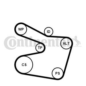 Poly V-riem set CONTINENTAL CTAM, u.a. für BMW