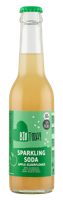 BioToday Sparkling Soda Appel-Vlierbloesem