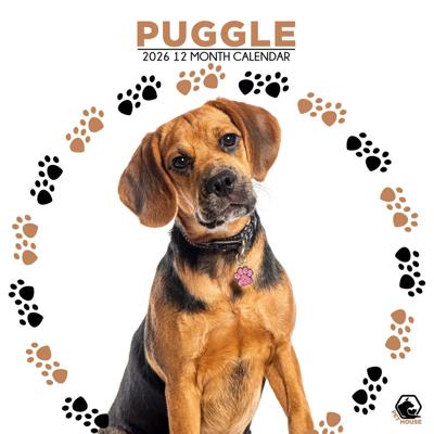 Puggle Kalender 2026 Puggle Kalender 2026
