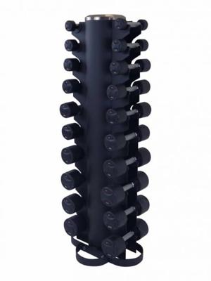 LifeMaxx Dumbbell Toren met Dumbbellset 2 x 1-10 kg 10 paar LMX 79.SD