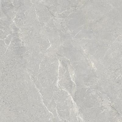 Vloertegel Energieker Wonder 60x60 cm Mat Shade Energieker