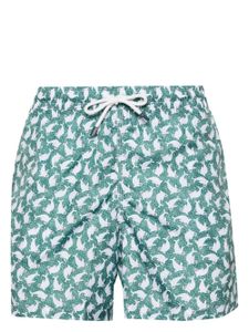 Fedeli short de bain Madeira - Vert