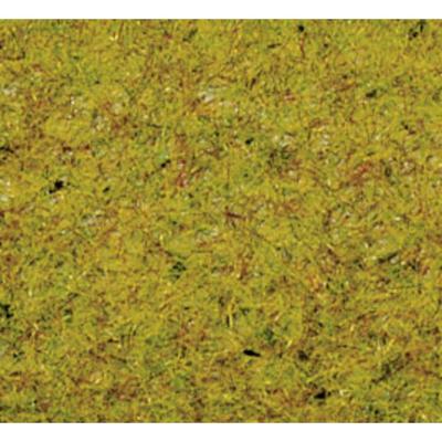 NOCH 50190 Strooigras Zomer weide Groen (gemiddeld)