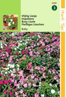 Zaden Impatiens Vlijtig Liesjes Baby gemengd Hortitops - Hortitops