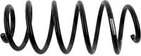 Sachs Schroefveer 993744