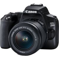 Canon EOS 250D + EF-S 18-55mm f/4-5.6 IS STM + EF 50mm f/1.8 STM SLR camerakit 24,1 MP CMOS 6000 x 4000 Pixels Zwart - thumbnail