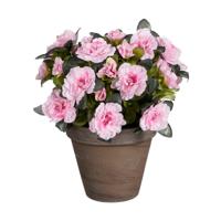 Mica Decorations Kunstplant - Azalea - Roze - in pot - 31 cm Mica Decorations Kunstplant - Azalea - Roze - in pot - 31 cm