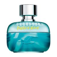 Hollister - Festival Vibes for Him EDT 100 ml - thumbnail