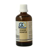 Sequoia gigantea bio