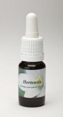Hortensia