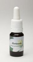 Hortensia