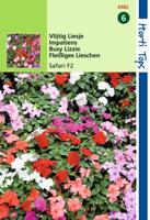 Zaden Impatiens Vlijtig Liesje Safari F2 gemengd Hortitops - Hortitops