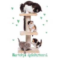 Wenskaarten Gefeliciteerd pak a 10 stuks