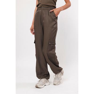 Pant shiny