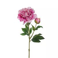 Pioenroos Tak Lavendel 59 cm kunstplant - Buitengewoon de Boet