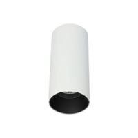 BM100-14 Opbouwarmatuur cilinder Wit
