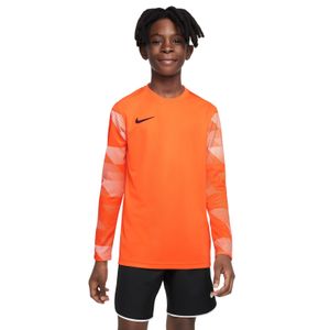 Nike DRY PARK IV Keepersshirt Lange Mouwen Kids Oranje