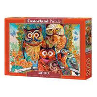 Selecta Castorland legpuzzel owls, 2000st.