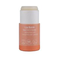 Beauty Made Easy Papertube lipbalm Sweet