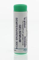 Gelsemium sempervirens 30CH - thumbnail
